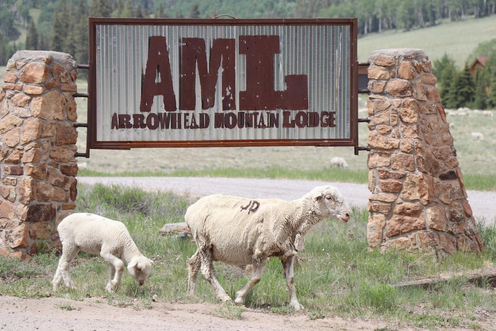 Arrowhead Mountain Lodge - photo 72