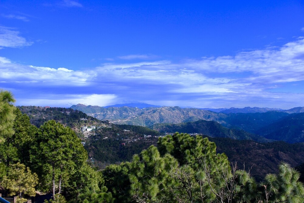 The Sonnet Ménage — Kasauli — photo 2