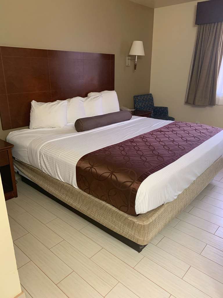 Best Western Desert Oasis - photo 16