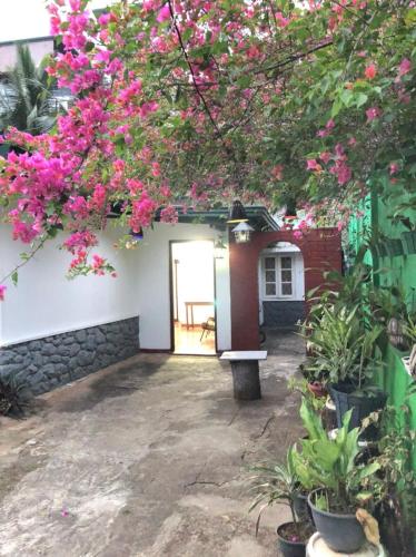 The Haven Kandy - carbon neutral hotel in Kandy