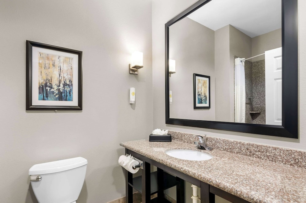 Comfort Suites at Katy Mills - photo 10