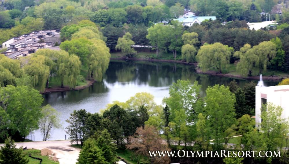 Olympia Resort and Conference Center - photo 21