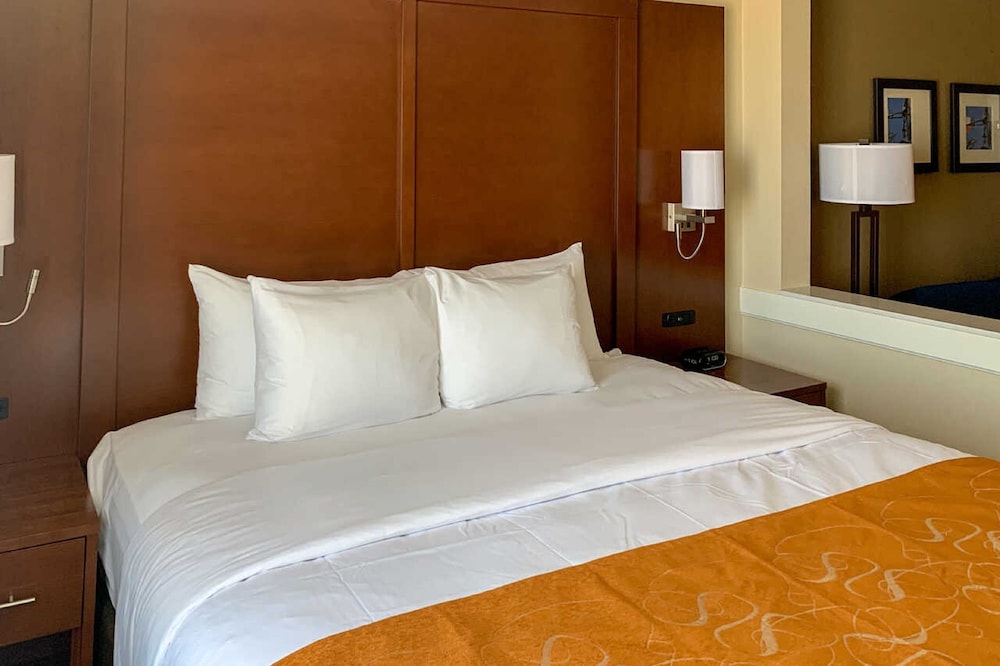 Comfort Suites Midland West - photo 11