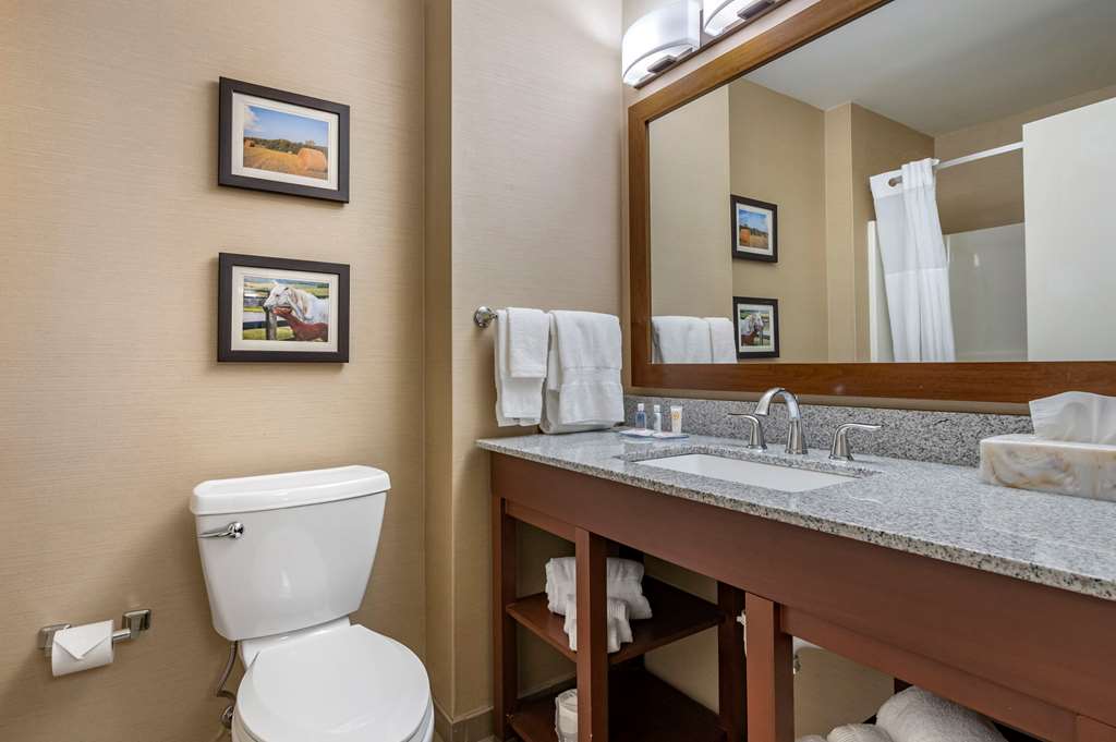 Comfort Inn & Suites Northern Kentucky - photo 27