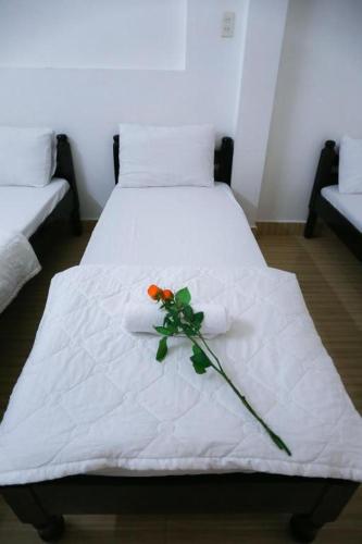 Bk48 - last minute hotel in Hue