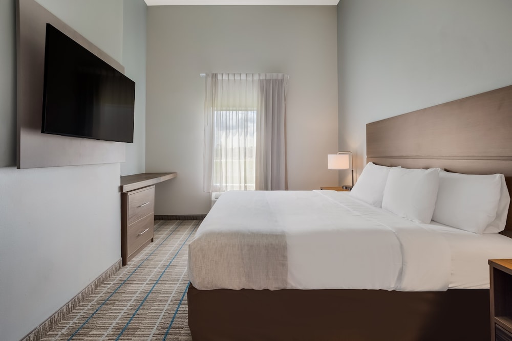 Hawthorn Extended Stay by Wyndham Sulphur - photo 9