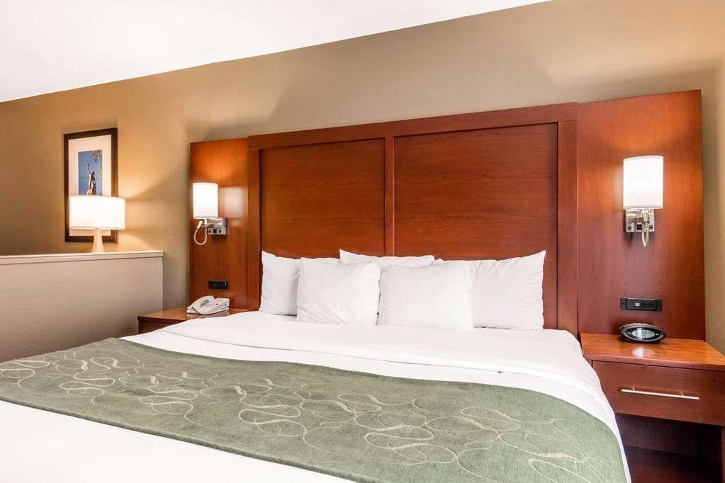 Comfort Suites Tuscaloosa near University - photo 20