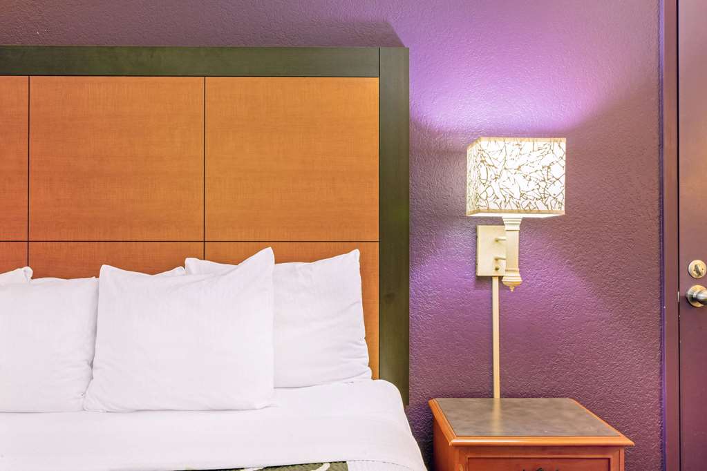 La Quinta Inn by Wyndham and Conference Center San Angelo - photo 28