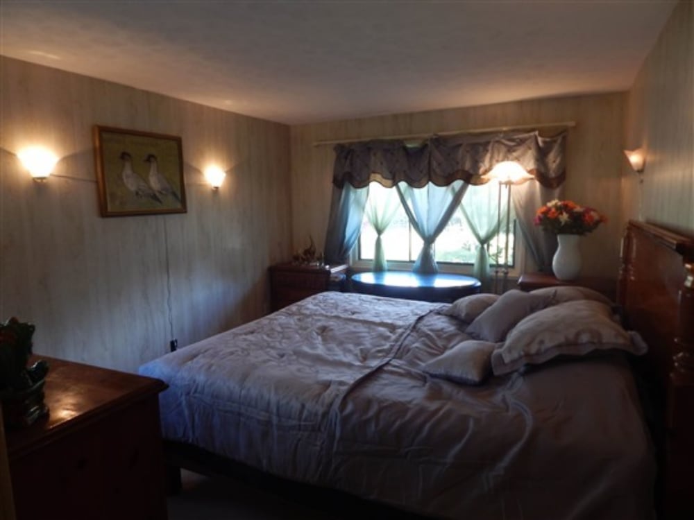 Fern Forest Getaway - photo 12