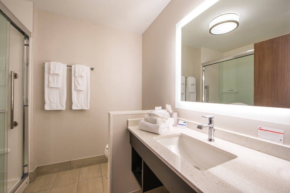 Holiday Inn Express & Suites Tampa North Wesley Chapel by IHG - photo 15