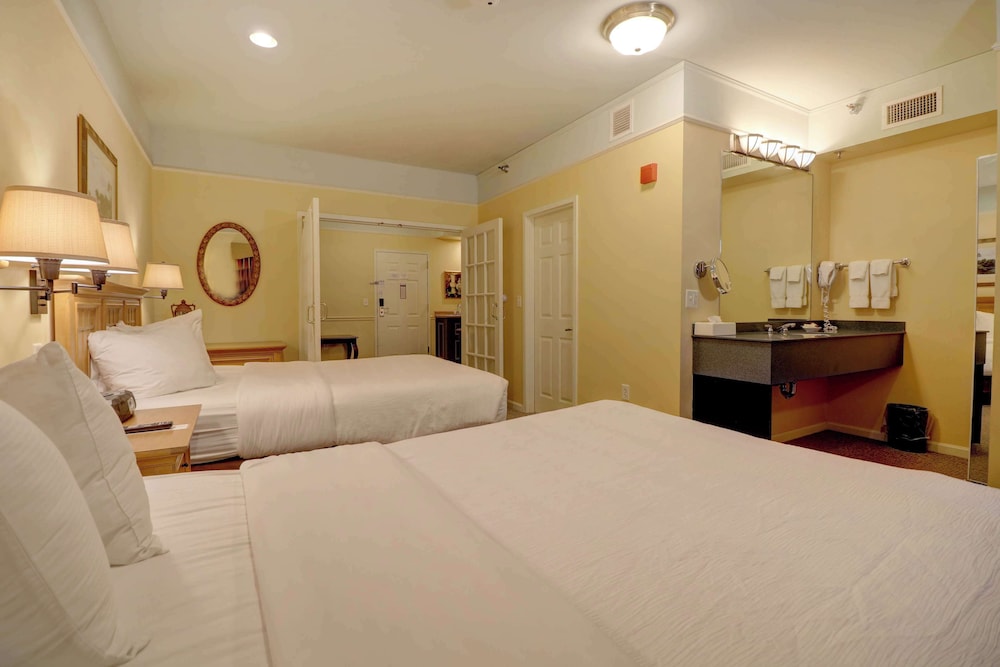 Senator Inn & Spa - photo 41