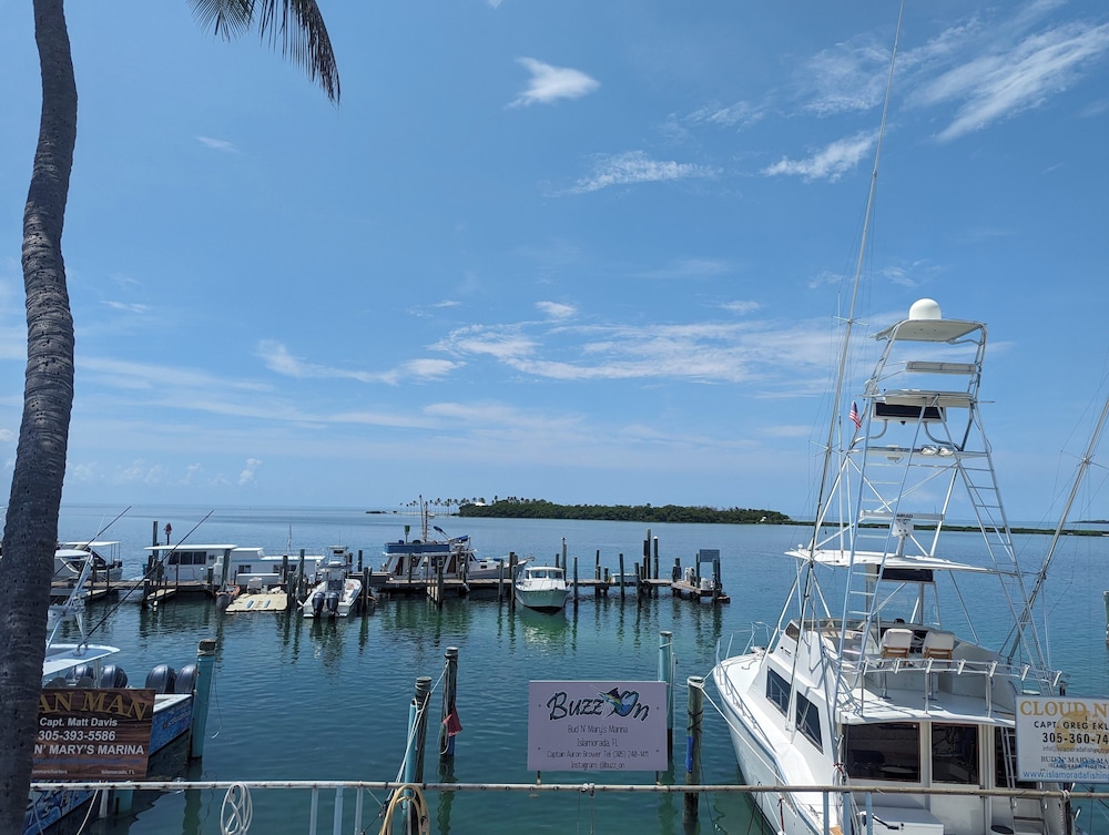 Bud N' Mary's Fishing Marina - photo 81