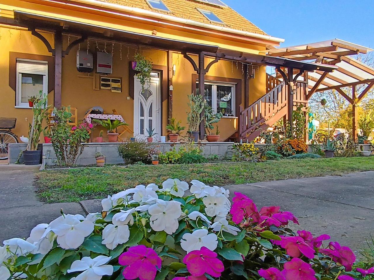 Holt Tisza Vendégház in Szeged, Hungary