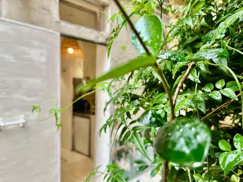 Studio Centre Paris Calme Cosy - last minute hotel in Paris