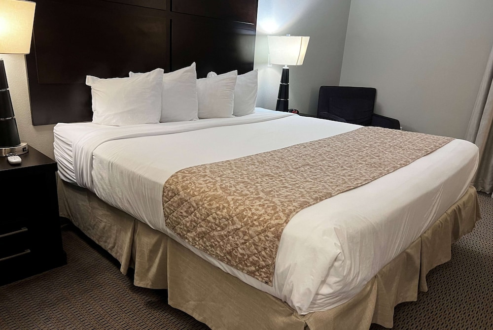 Baymont by Wyndham College Station - photo 11