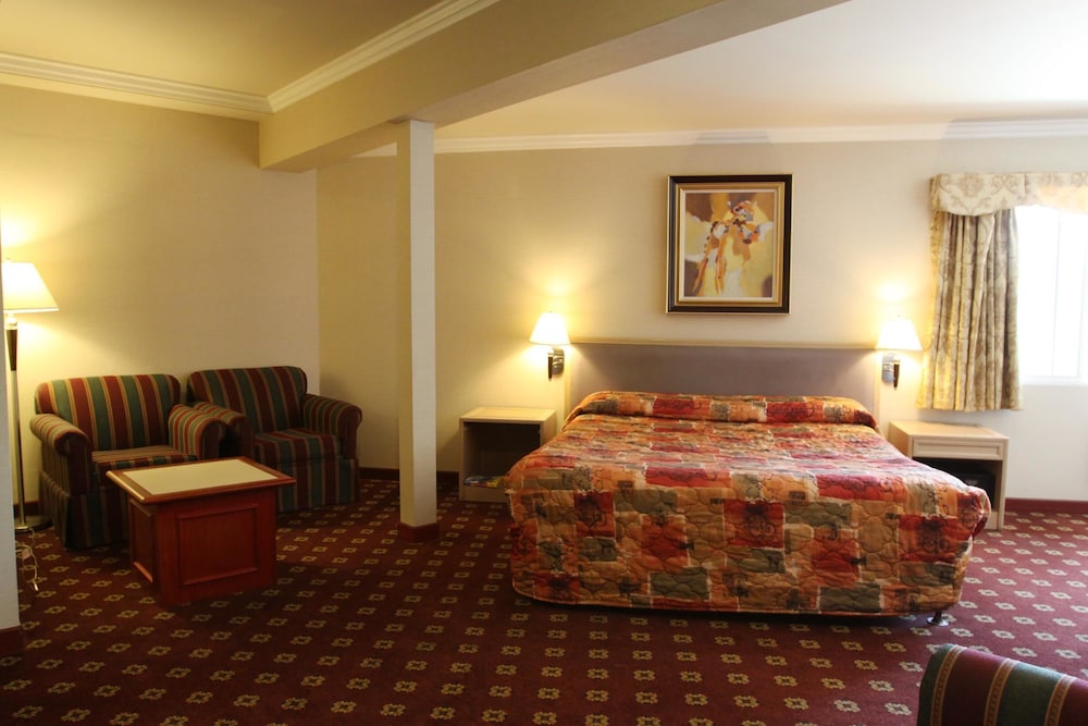 Metro Plaza Hotel - photo 13