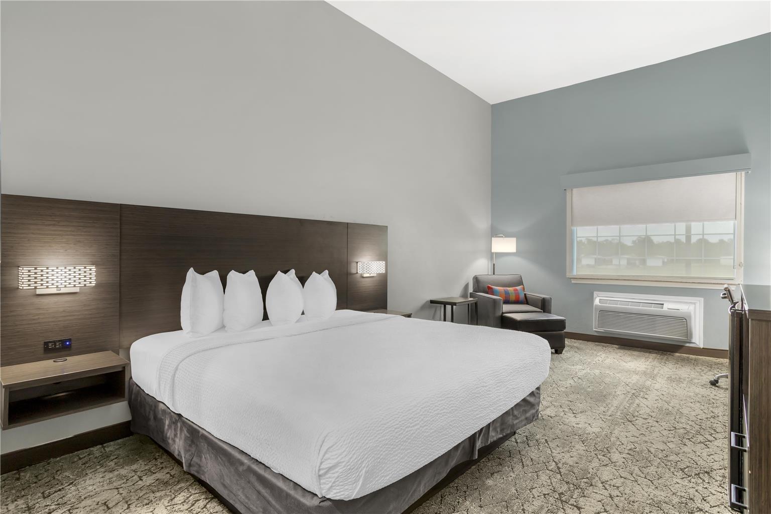 Best Western Plus New Caney Inn & Suites - photo 22