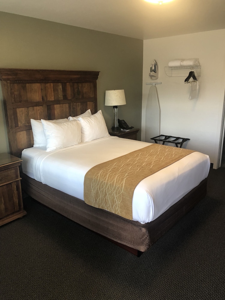 The Roosevelt Hotel Yellowstone - photo 9
