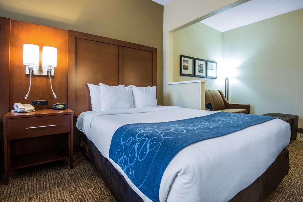 Comfort Suites Rochester Henrietta University Area - photo 14