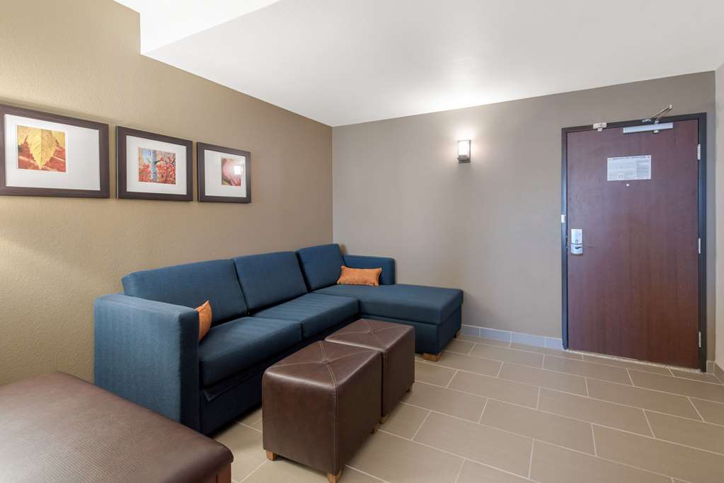 Comfort Suites Denver International Airport - photo 34