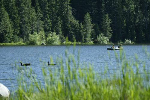 Snowflower Camping Resort 12 ft. Yurt 9 - last minute hotel in Soda Springs