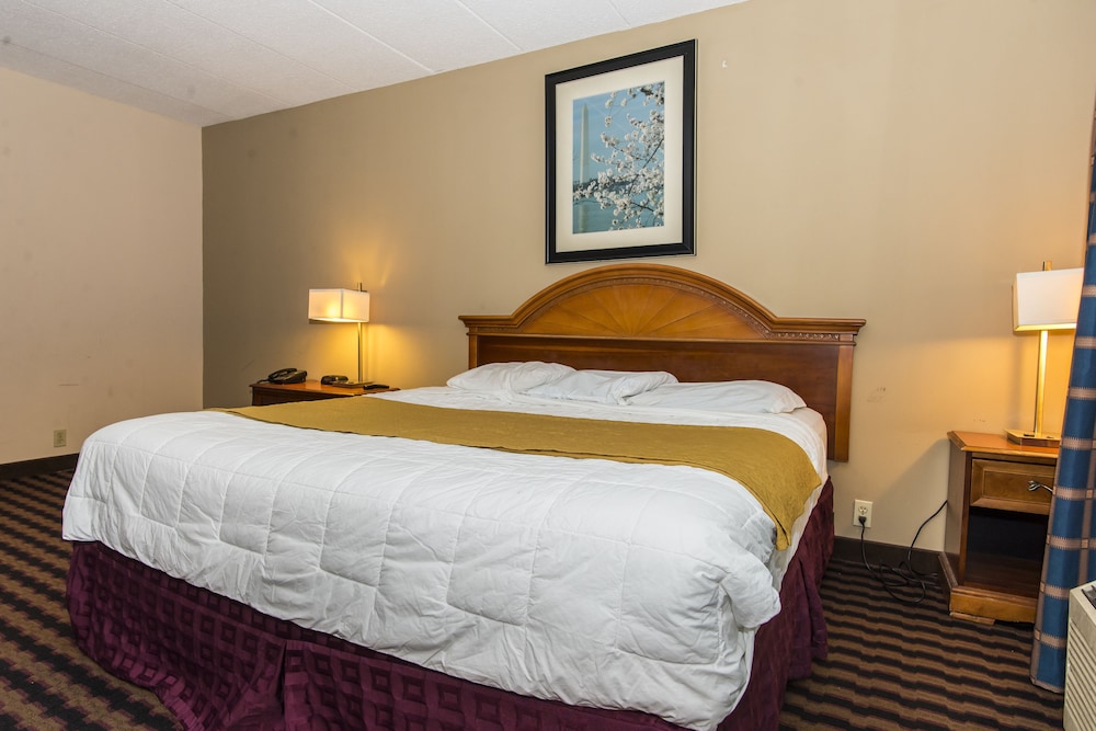 Garden Inn - photo 12