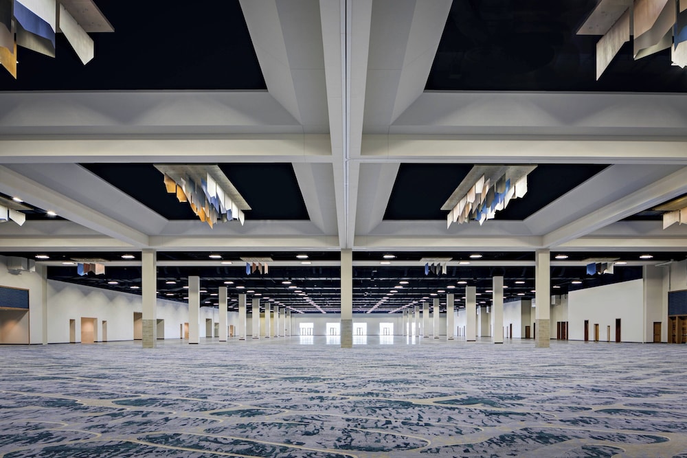 Gaylord Rockies Resort & Convention Center - photo 83