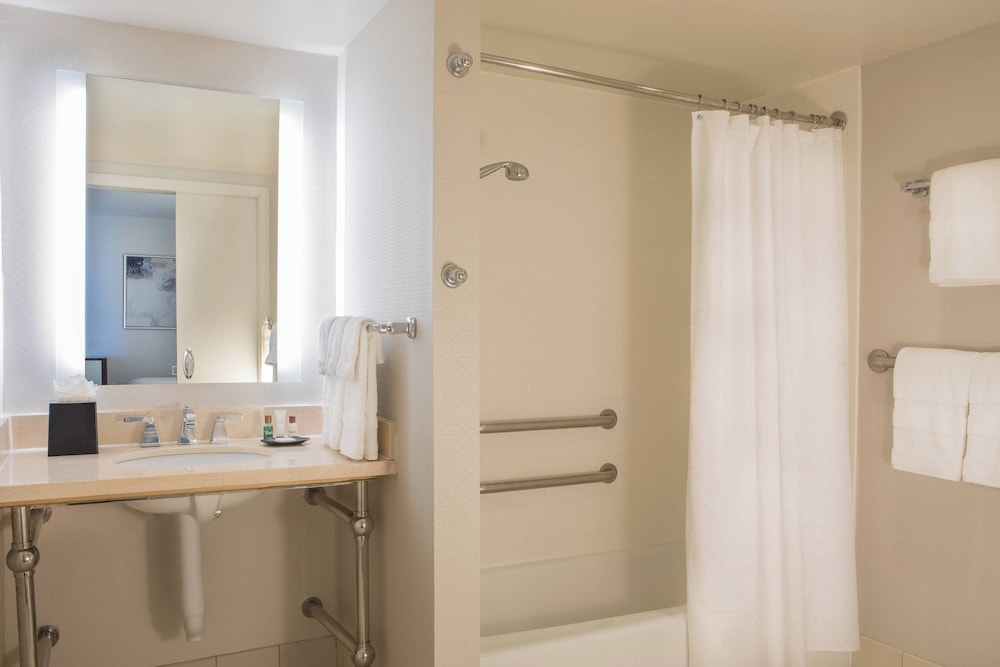 Sheraton Suites Chicago Elk Grove - photo 11