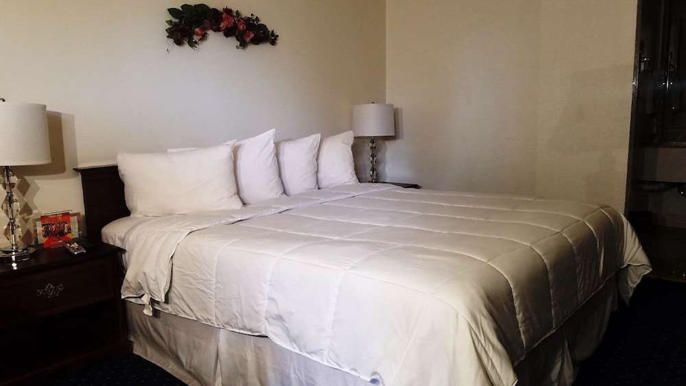 Stanford Motor Inn Palo Alto - photo 11