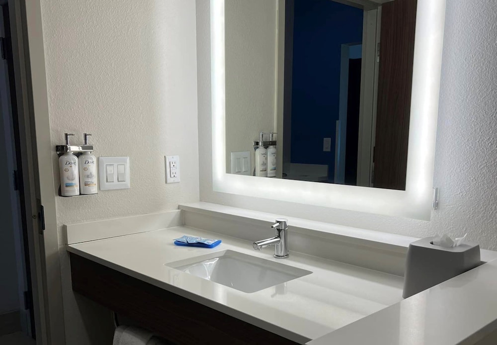 Holiday Inn Express & Suites Bryan College Station by IHG - photo 20