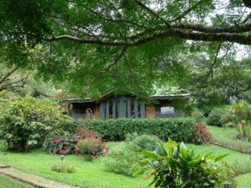Hotel El Sapo Dorado in Monteverde, Costa Rica
