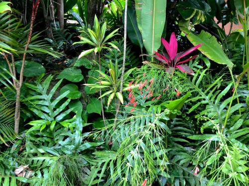 Kalani Hawaii Private Lodging - photo 101