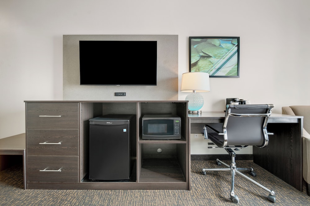 La Quinta Inn & Suites by Wyndham Sulphur - photo 8