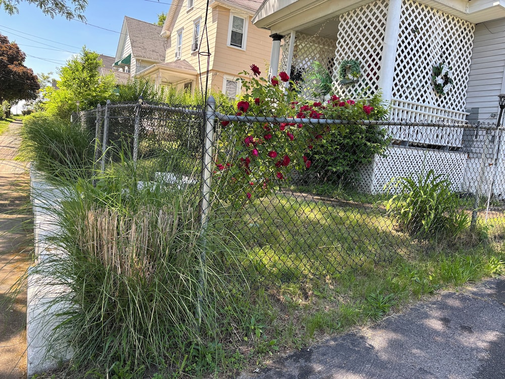 Ms P Place - photo 26