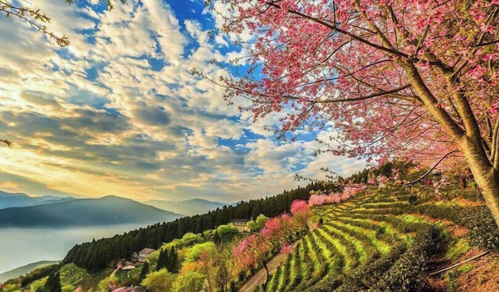 Ha Giang Hotel Sapa in Sa Pa, Vietnam