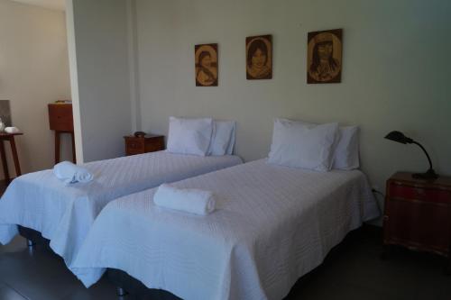 Indano Art Lodge — Lamas — photo 2