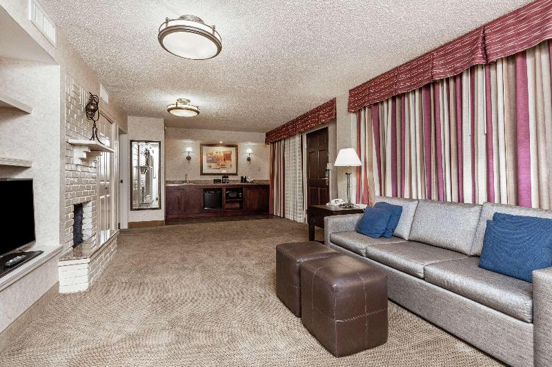 Embassy Suites by Hilton Kansas City Plaza - photo 23