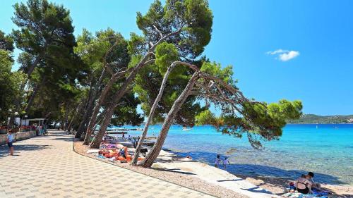 Danyja Mobilehome — 4-Star Luxury Hotel in Biograd Na Moru, Croatia