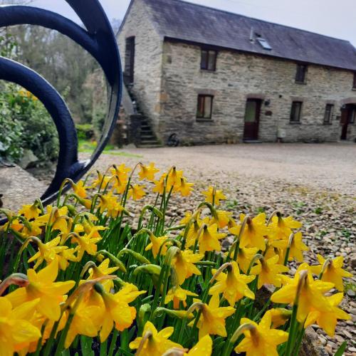 Troedyrhiw Holiday Cottages in Cardigan, United Kingdom