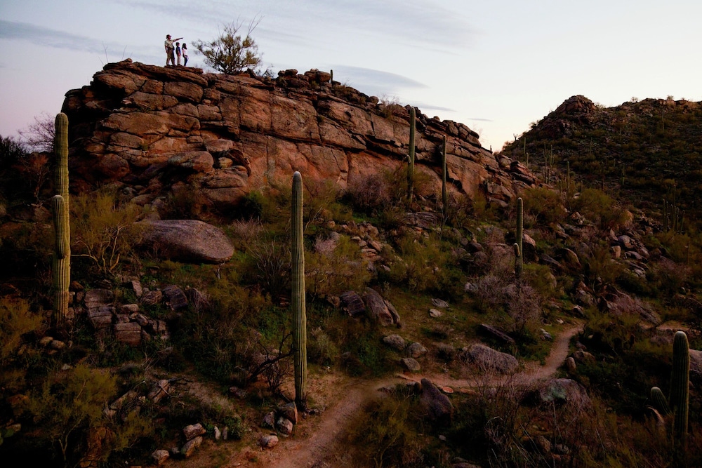 The Ritz Carlton Dove Mountain - photo 60