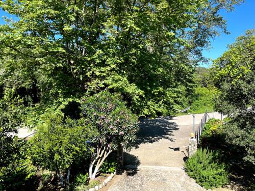 Akamatis Giorgos in Samothraki, Greece