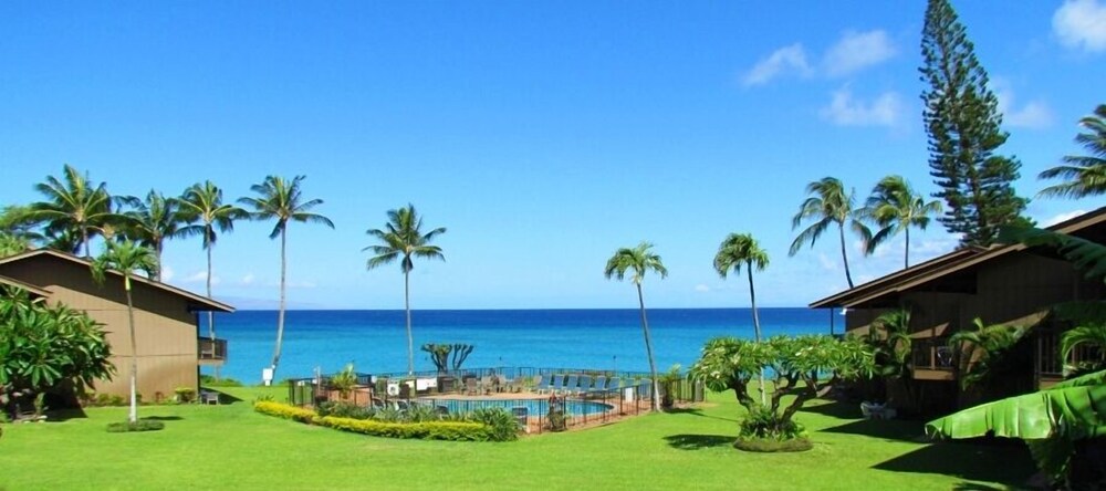 Polynesian Shores - photo 168
