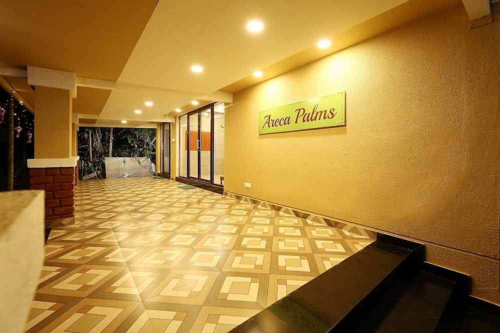 Areca Palms in Murud, India