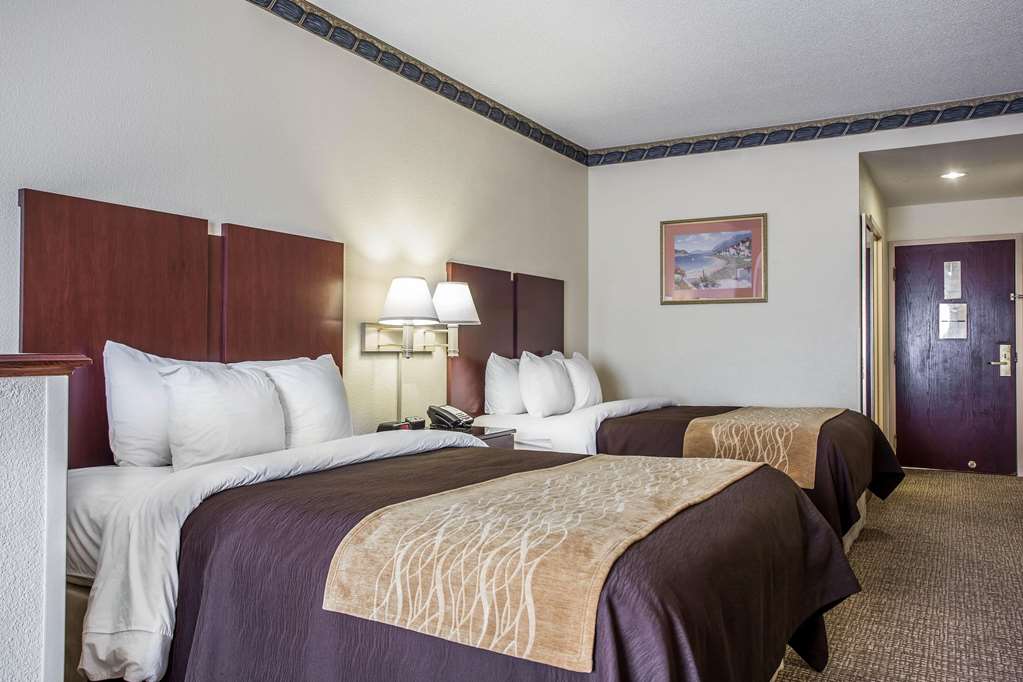 Comfort Inn & Suites Ft. Jackson Maingate - photo 17