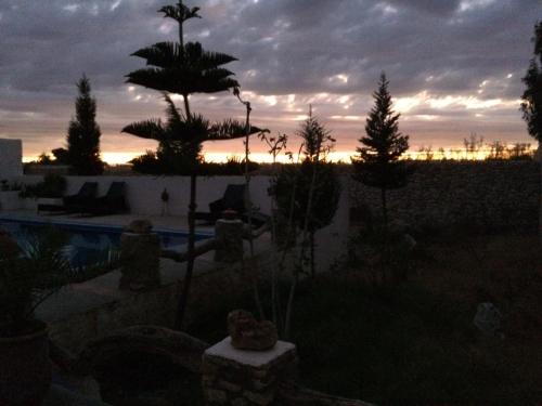 Chez Ali — Essaouira — photo 4