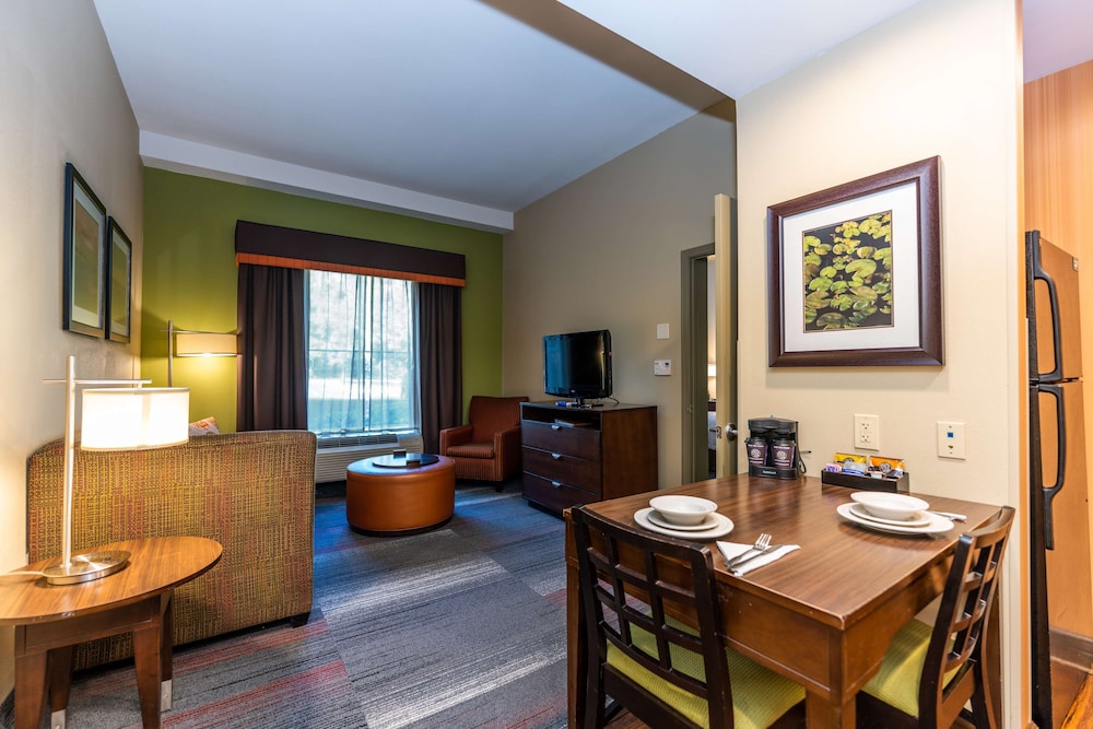 Homewood Suites by Hilton Birmingham SW Riverchase Galleria - photo 19