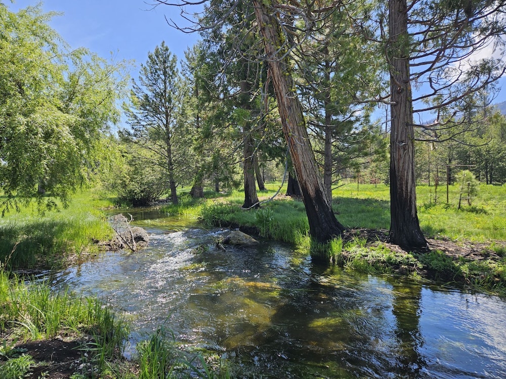 The Black Forest Lodge - photo 28