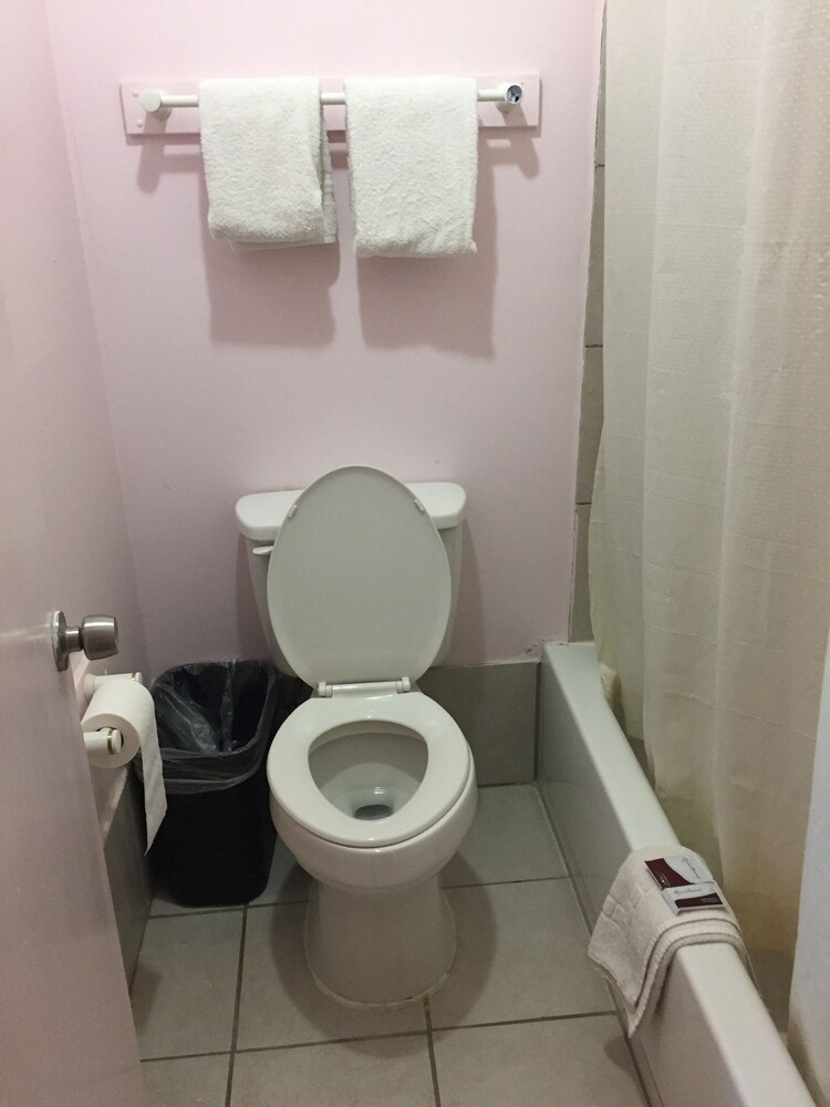 La Motel - photo 18