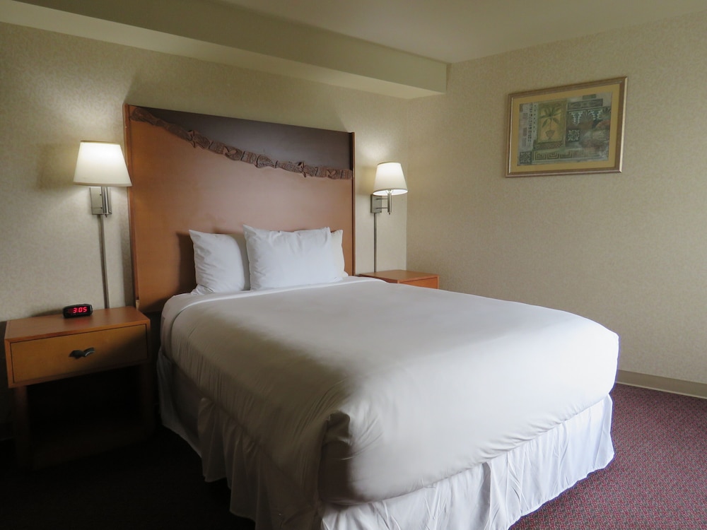 Hotel Mar Vista - photo 10