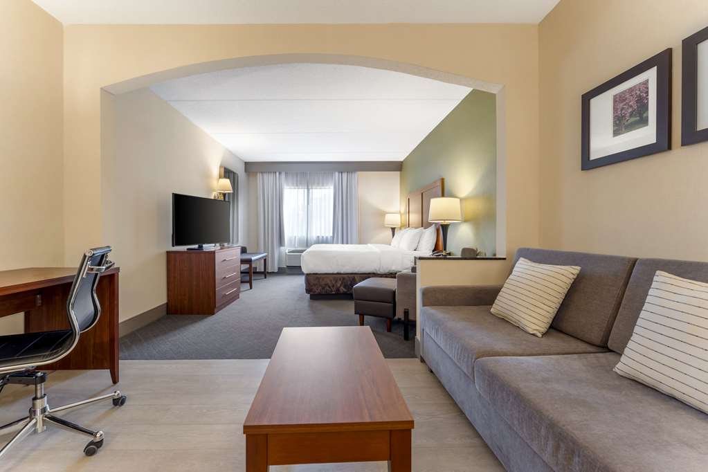 Comfort Inn & Suites LaVale Cumberland - photo 33